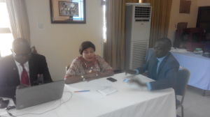 Board Member, Cross River State Forestry Commission (CRSFC), Arikpo Arikpo (left); UN-REDD+ Officer, Department of Forestry, Federal Ministry of Environment, Hauwa Umar (middlie); and Chairman, CRSFC, Odigha Odigha 