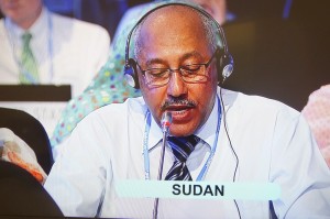 Chair of the African Group of Negotiators, Nagmeldin G. Elhassan