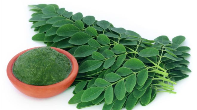 The Moringa. Photo credit: bbc.com