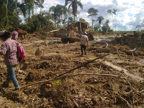 Deforestation in Peru