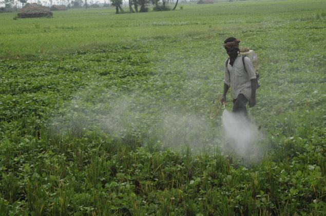 Observers believe that, following the invention of Monsanto's Roundup Ready crops, resistant superweeds are taking over farmland, and public health is being attacked. Photo credit: www.bibliotecapleyades.net 