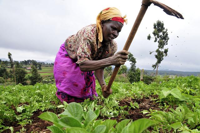 Woman farmer