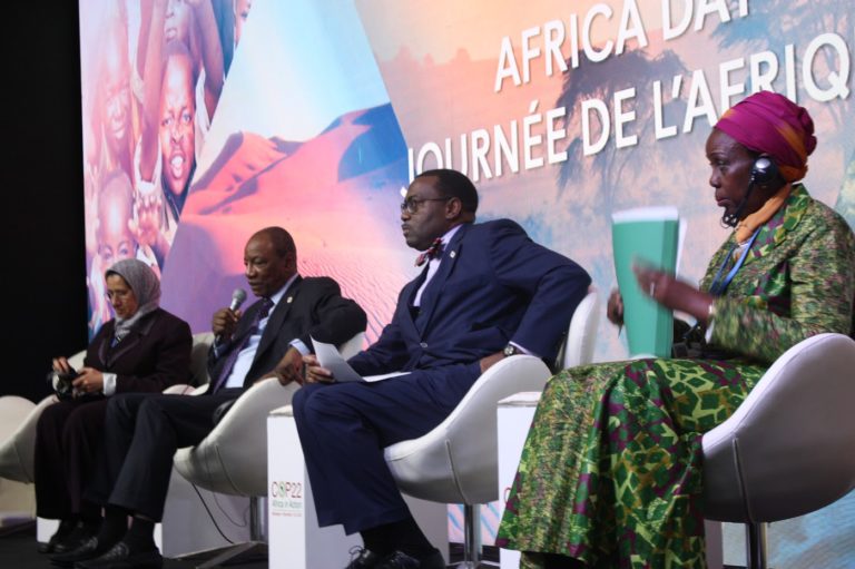 Monies outside pledged $10 billion required to realise AREI, says AfDB