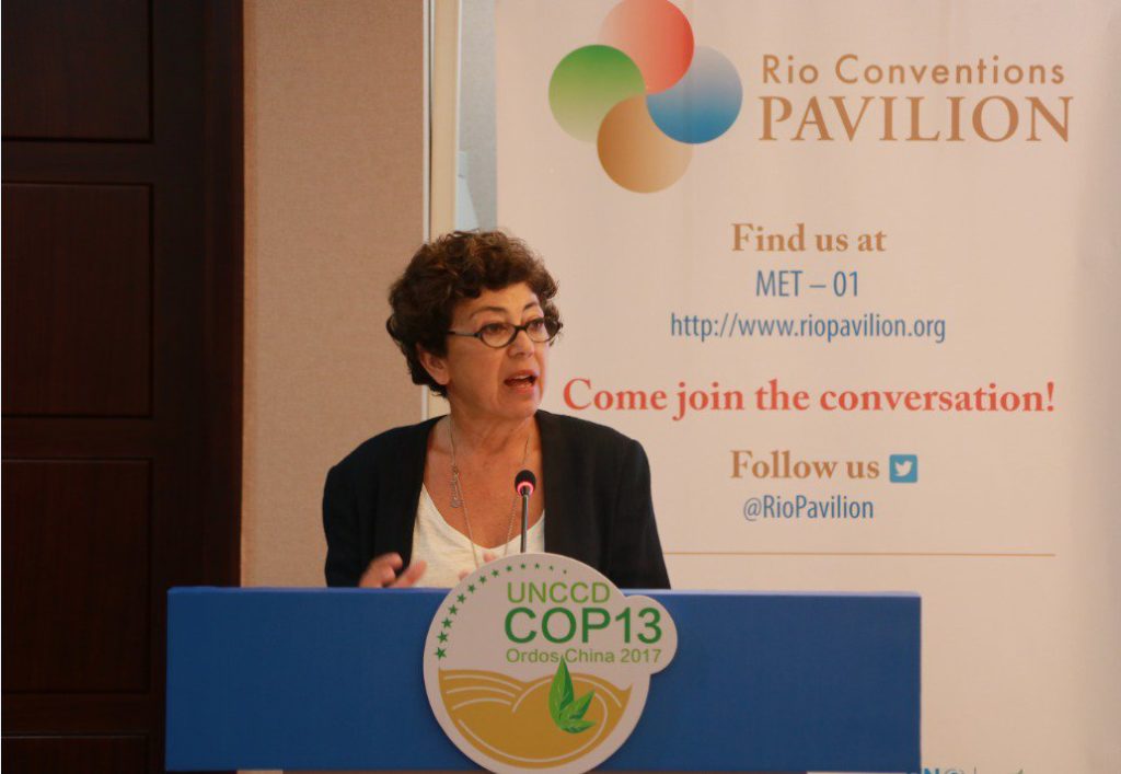 UNCCD COP13 - Monique Barbut