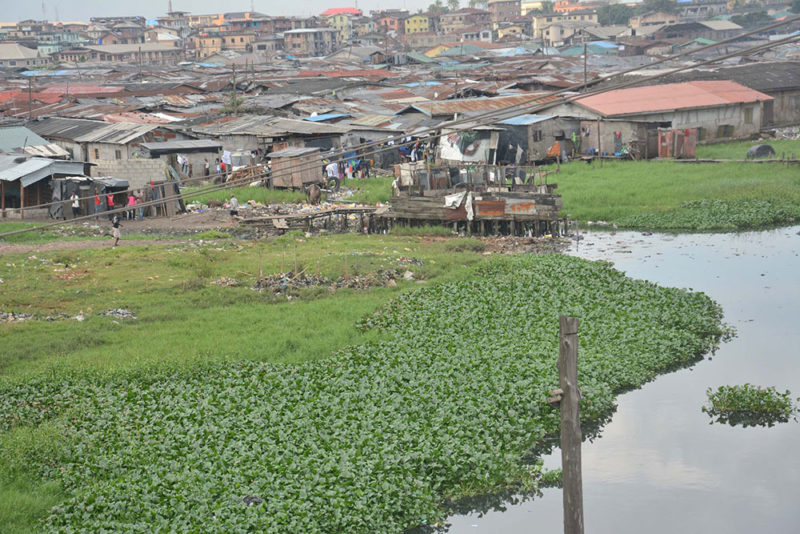 wetland