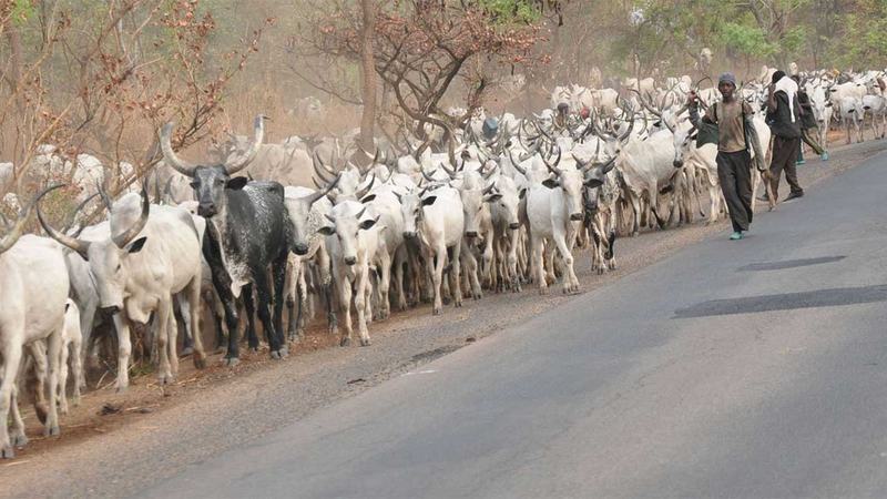 Herdsmen