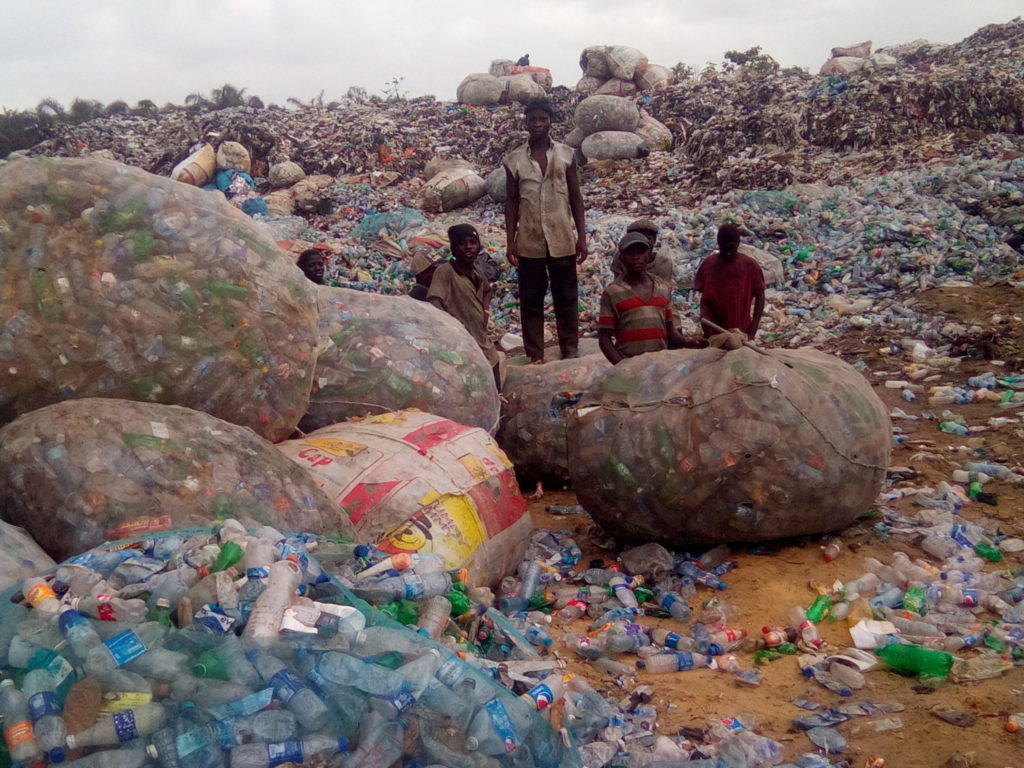 Plastic bottle scavengers