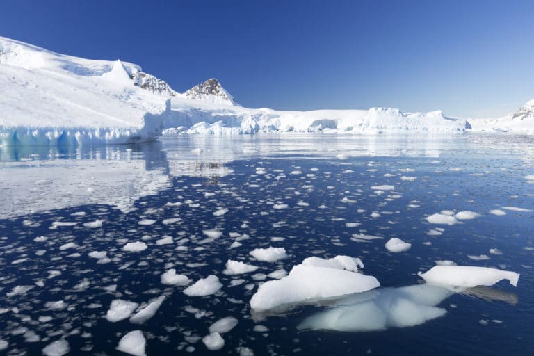 Arctic Ice Project shuts down over ecological concerns