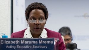 Elizabeth Maruma Mrema