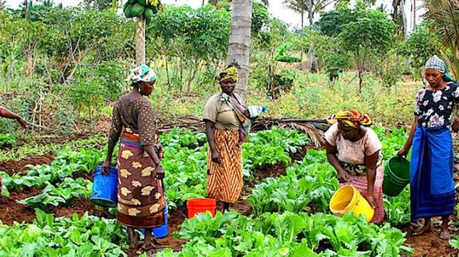 Women farmers