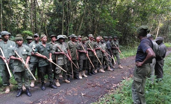 Park Rangers