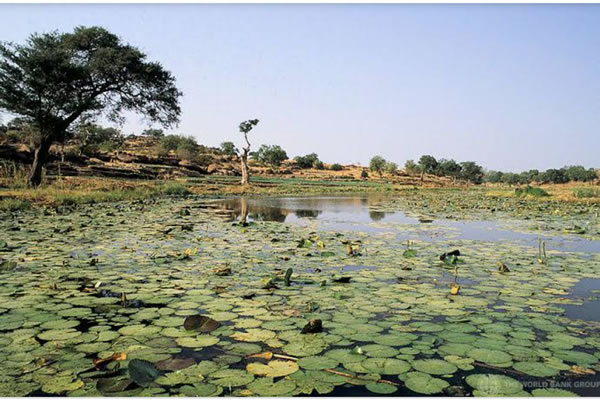 Nigeria risks losing its remaining wetlands by 2035 – Adogame