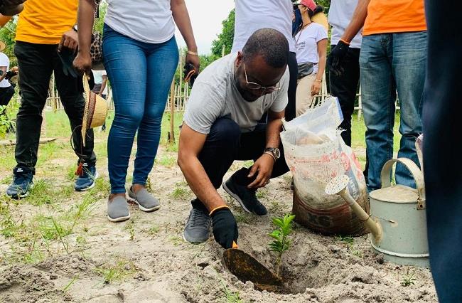 Tree planting