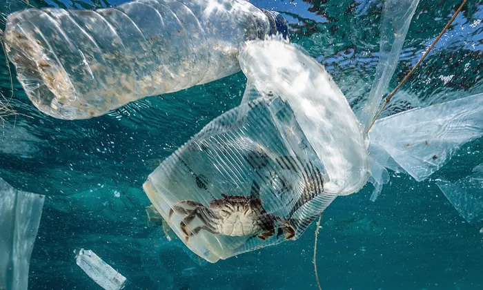 Marine plastic pollution