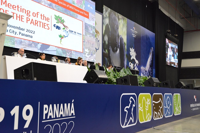 CITES COP19