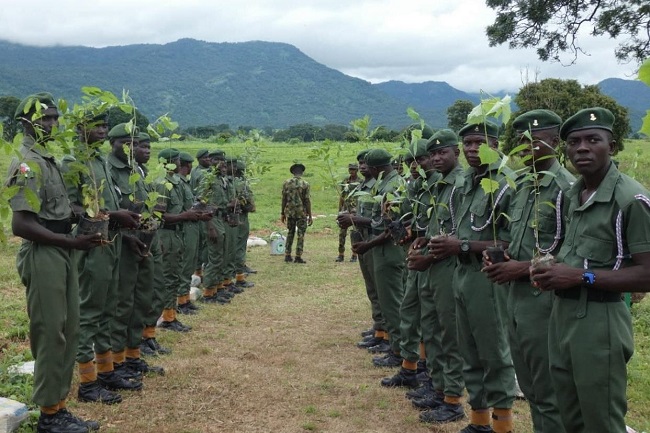 International Day of Forests