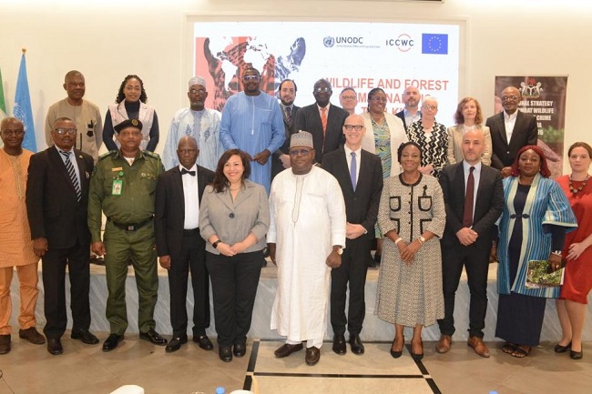 International Consortium on Combating Wildlife Crime (ICCWC)