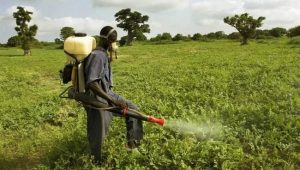  Pesticide