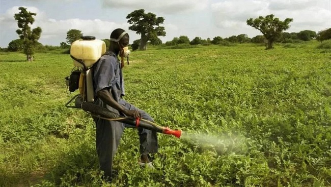 Pesticide