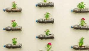 Upcycled plastic bottle planters