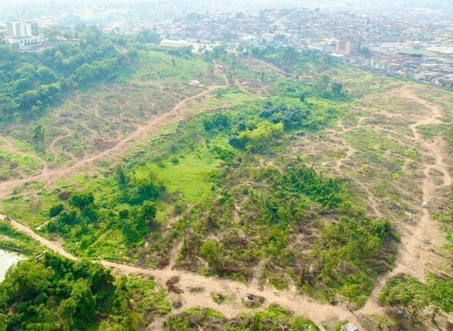 Ogunpa Forest Reserve