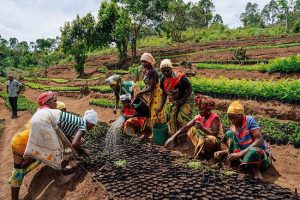 Rural women