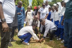 Tree planting