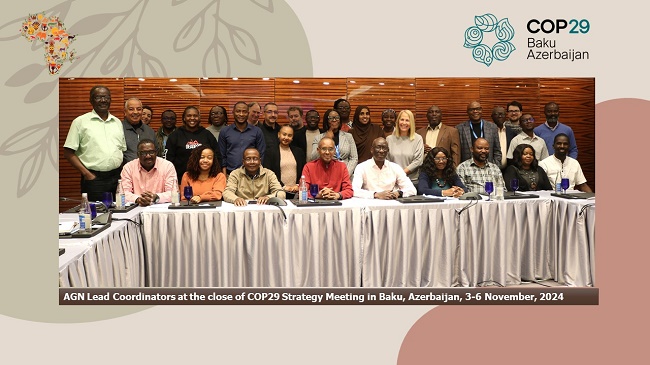 African Group of Negotiators on Climate Change (AGN)