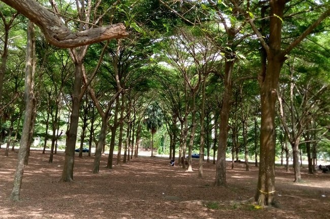 University of Ibadan