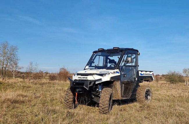 European wildlife electric car