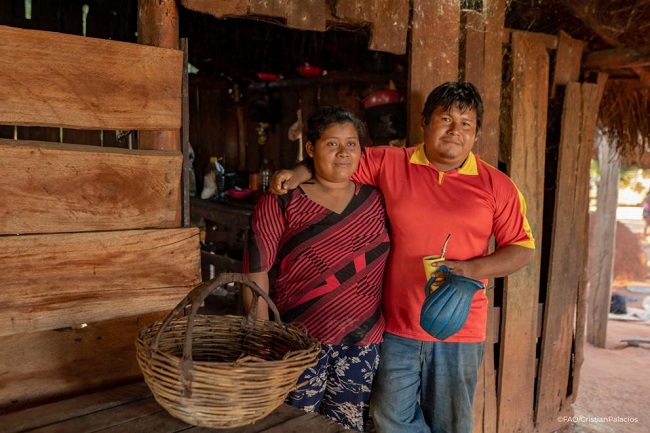 Sacred plant helps forge a climate-friendly future in Paraguay