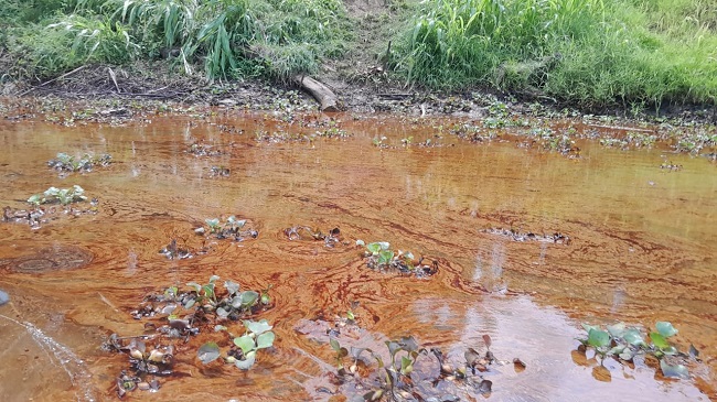 Group alerts NOSDRA, Shell on fresh Bayelsa oil spill