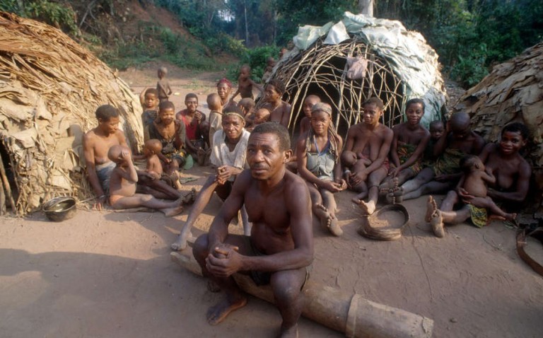 Study reveals plight of Pygmy population in Central Africa