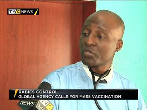 Video: Rabies control