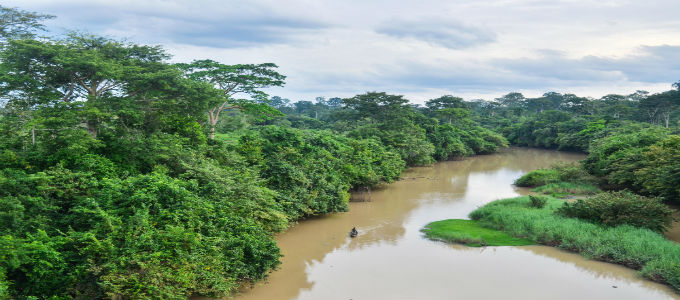 Côte D’ivoire National Park Taken Off World Heritage ‘danger List 