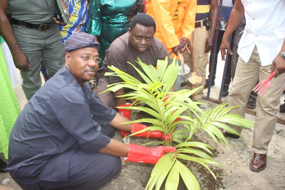 Radio Report: Lagos marks 10th tree planting campaign - EnviroNews Nigeria