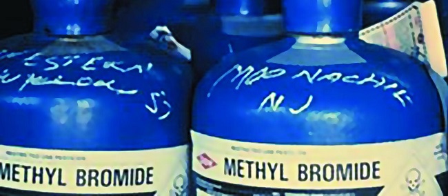 Methyl Bromide