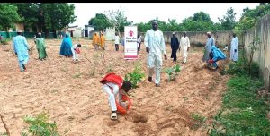 Tree planting