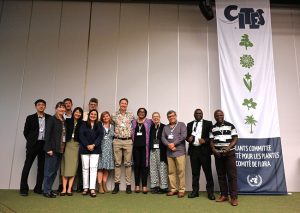 CITES Plants Committee