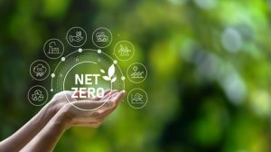 Net Zero