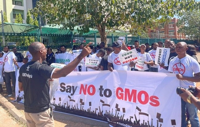 GMOs