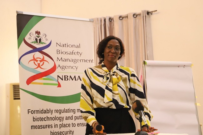 Biosafety agency validates guidelines for safe GMO importation