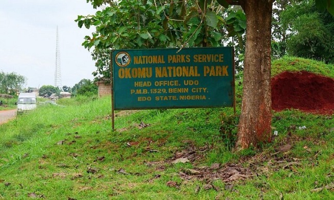 Okomu National Park