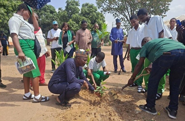 Tree planting exercise 